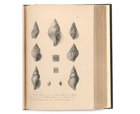 Zoologie - - A.(lexander) Th.(eodor) Middendorff. Reise in den äusserten Norden und Osten Sibiriens während der Jahre 1843 un