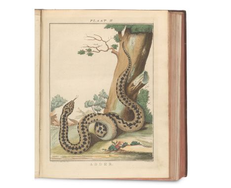 Zoologie - Herpetologie - Schlangen - - J.(ohannes) van Lier. Verhandeling over de slangen en adders die in het landschap Dre