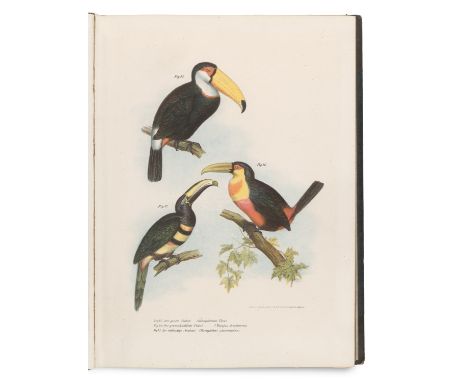 Zoologie - Ornithologie - - Leopold Joseph Fitzinger. Wissenschaftlich-populäre Naturgeschichte der Vögel. 2 Bände u. Bilder-