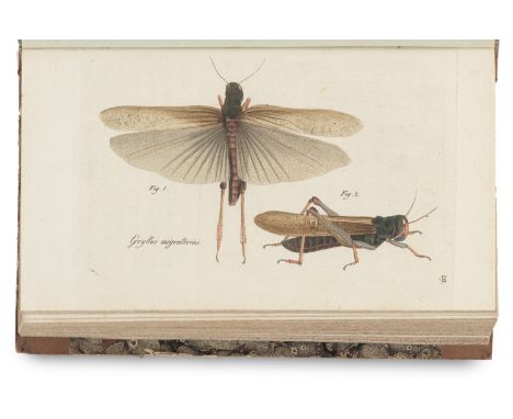 Zoologie - - Johann Friedrich Blumenbach. Abbildungen naturhistorischer Gegenstände. 10 Hefte in 1 Bd. Mit 100 teils kolorier