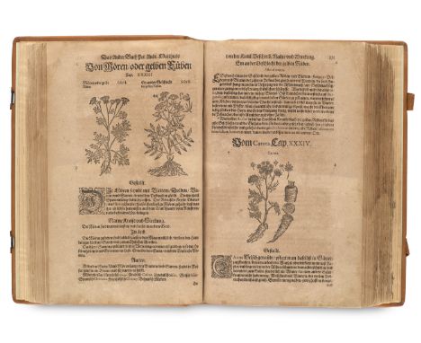 Botanik - Kräuterbücher - - Petrus Andreas Matthiolus. Kreutterbuch deß Hochgelehrten und weltberühmbten Herrn D. Petri Andre