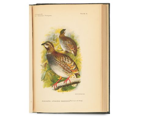 Zoologie - Ornithologie - - J. Delacour u. P. Jabouille. Le Oiseaux de l'Indochine Francaise. Exposition Coloniale Internatio