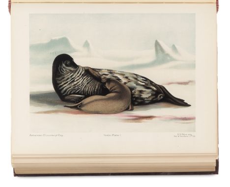 Zoologie - - Robert F. Scott. National Antarctic Expedition 1901-1904. Natural History. 2 Bände. Vol. 2: Zoology and Botany (