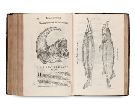 Zoologie - - Ulisse Aldrovandi. Monstrorum historia cum paralipomenis historiae omnium animalium ... Paralipomena accuratissm