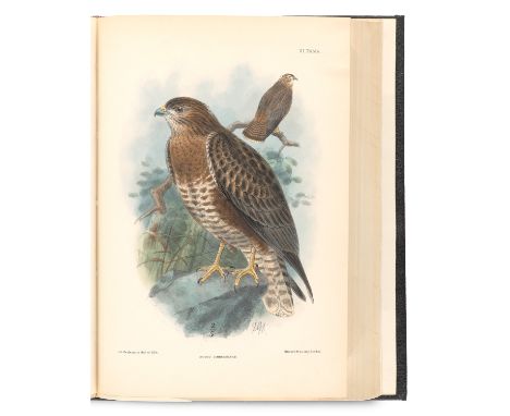 Zoologie - Ornithologie - Ungarn - - István Chernel de Chernelhaza. Magyarország madarai. 3 Bde. und dem Nachtragsband mit de