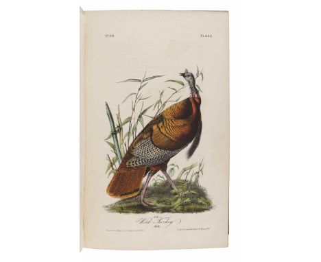 AUDUBON, John James (1785-1851). The Birds of America, from Drawings Made in the United States and their Territories. New Yor