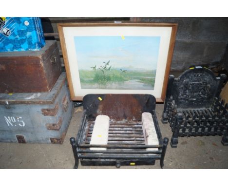 A fire screen together with a fire grate