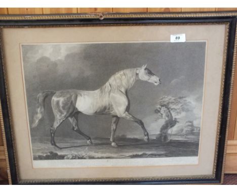 A Marshall print of racehorse L.O.P, 1802, 15" x 19"