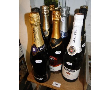 10 Bottles of various sparkling wine.