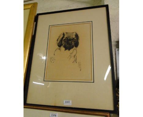 Early 20th century charcoal drawing,portrait of a dog Fifi, indistinctly signed, 12 x 9" framed