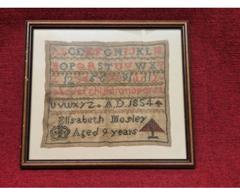 Early Victorian framed sampler Elizabeth Mosley, aged 9 years, 33 x 29cm frame size.