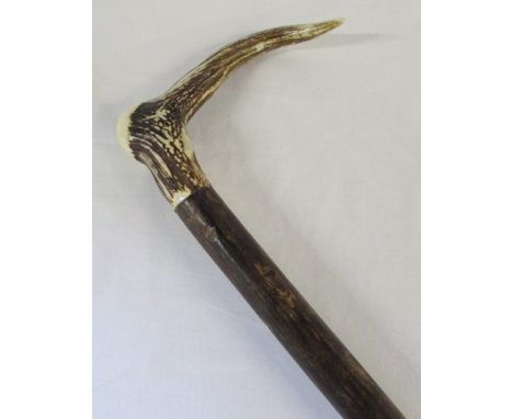 Walking stick, hazel shank with deer antler handle