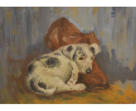 Oil on board of a puppy curled up with a shoe, signed R Moore 1963
