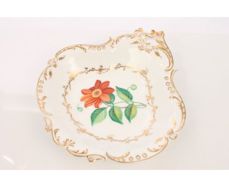 19th century English bone china botanical dessert dish, with gilt rococo scroll border and painted floral centre, titled on b