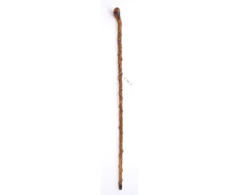 Interesting walking stick, the gnarled shaft carved with leaves, flowers, animals and birds and YORK 1905, approximately 84cm