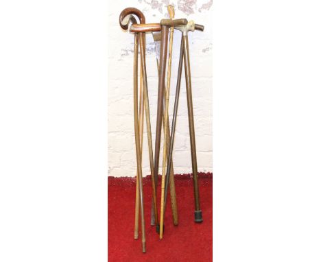 A collection of eight carved and turned walking sticks to include a silver adorned walking stick, walking cane etc.