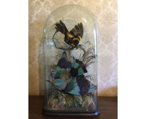 Taxidermy: a two bird figure group on painted papier-mâché rocks and boughs surrounded by tall grass, the larger bird with CO