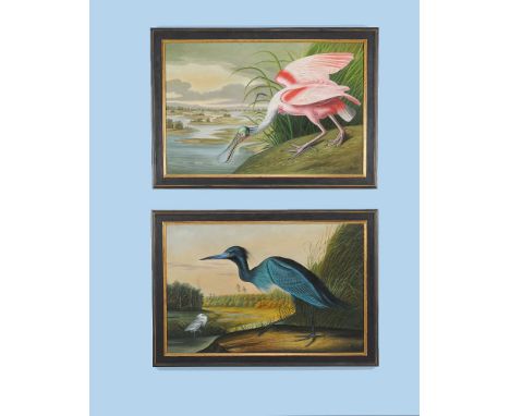 A matched pair of paintings of exotic birds, in the manner of Audubon, of recent manufacture,  the first depicting a Blue Wad