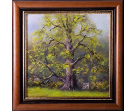 Clem Spencer (Plymouth), 'Sunlit Oak' oil on board, signed, 29cm x 29cm, framed. Provenance; this artwork has been consigned 