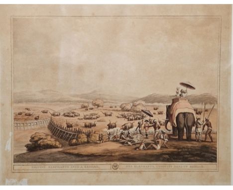 Samuel Howitt (1765-1822) after Captain Thomas Williamson  Etching and aquatint "Driving Elephants into a Keddah", published 
