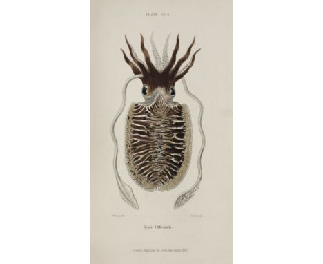 Forbes (Edward, &amp; Sylvanus Hanley). A History of British Mollusca, and their Shells, 4 volumes, 1st edition, large-paper 