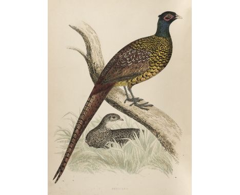 Morris (Beverley R.) British Game Birds and Wildfowl, 1st edition, London: Groombridge and Sons, 1855, 60 hand-coloured wood-