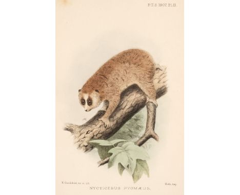 Bonhote (J. Lewis, 1875-1922). 'Papers on Mammals &amp; Birds' [spine-titles], 2 volumes, 1895-1911, containing approximately