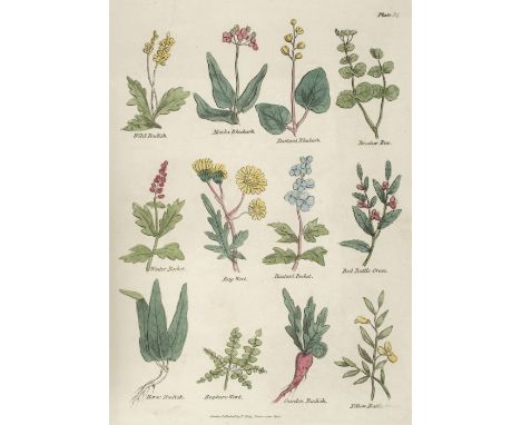 Culpeper (Nicholas). Culpeper's Complete Herbal, London: Thomas Kelly, 1824, engraved portrait frontispiece, 40 hand-coloured