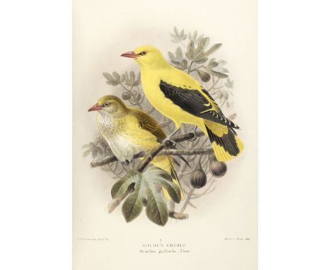 Lilford (Thomas Littleton Powys, 4th Baron). Coloured Figures of the Birds of the British Islands, 7 volumes, 2nd edition, Lo