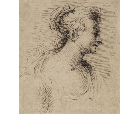 * Dietrich (Christian Wilhelm Ernst, 1712-1774). Head portrait of a lady, brown ink on laid paper, head and shoulders study o