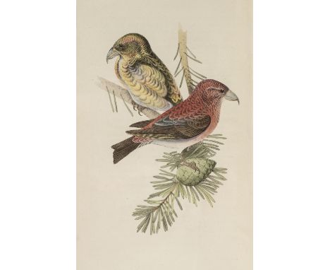 Meyer (Henry Leonard). Coloured Illustrations of British Birds, and their Eggs, 7 volumes, mixed editions, London: G. W. Nick