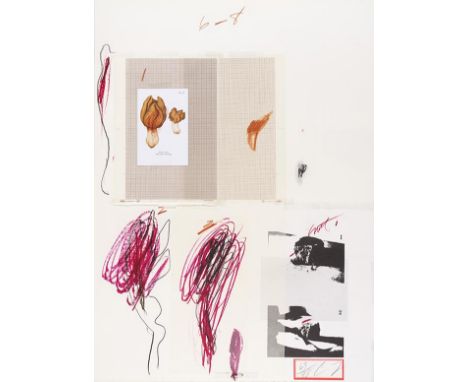 Cy Twombly     1928 Lexington - 2011 Rom Natural History Part I, Mushrooms. 1974. Folge von 10 Farblithografien mit Lichtdruc