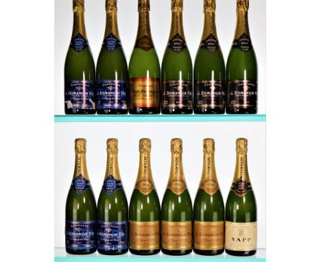 Vintage & NV Mixed Champagne12x75cl  These Champagnes  have all been stored since in a deep cellar in an Important House in S