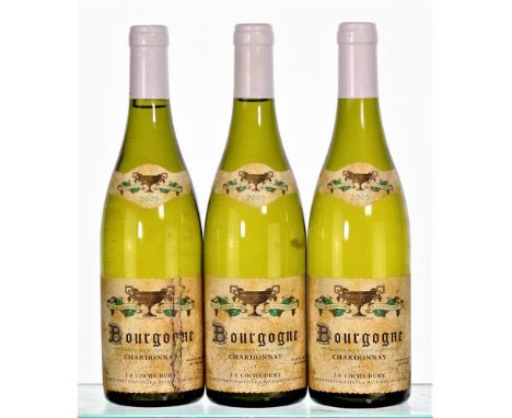 2005 Bourgogne BlancDomaine Coche-Dury3x75clThese wines have all been stored since first release in a deep cellar in an Impor