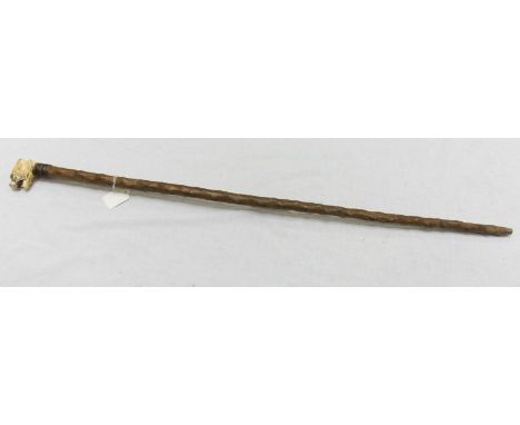 A Victorian carved ivory topped blackthorn walking stick, the handle carved as a bull terrier or mastiff’s head, in growling 