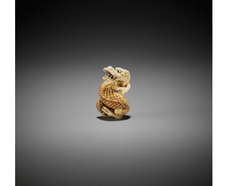 AN IVORY NETSUKE OF A COILED DRAGONJapan, 18th century, Edo period (1615-1868)The sinuously coiled dragon is shown snarling w