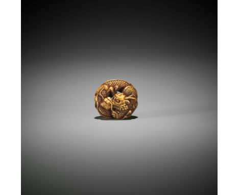 ANRAKU: A FINE IVORY NETSUKE OF A COILED DRAGONBy Shukosai Anraku, signed AnrakuJapan, Osaka, 19th century, Edo period (1615-