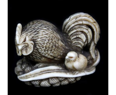 OKATOMO; a good early 19th century Japanese carved ivory netsuke of a cockerel and chick upon millet, signed, length 4cm, hei