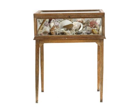 An oak vitrine, 20th century, glazed, with a hinged top, containing a collection of shells, 64cm wide 43.5cm deep84.5cm highC