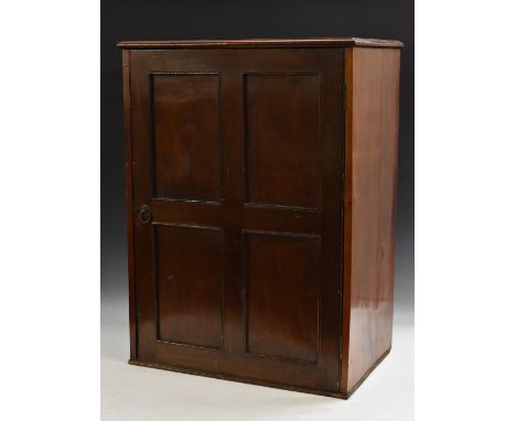 A '19th century' mahogany connoisseur collector's chest, rectangular top above a four panel door enclosing twenty sliding spe