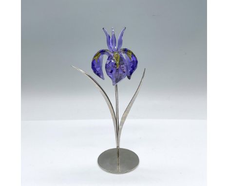 An iris-like Paradise Flower from the Exotic Flowers collection. Stunning blue violet petals with segments of yellow. Beautif