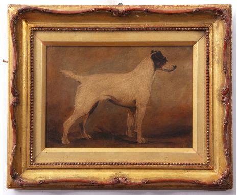 English School&nbsp;20th century, Dog study, mixed media on card laid to board, possibly print based, indistinctly signed low
