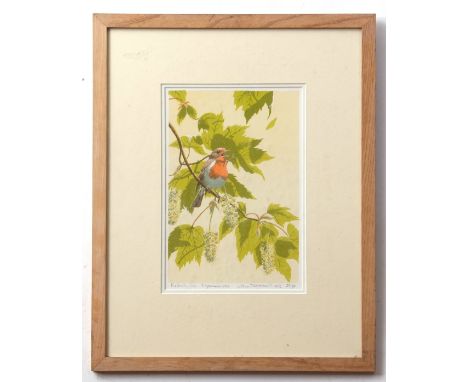 AR John Tennent (born 1926), "Robin in Sycamore", coloured lithograph, signed, dated 1976, numbered 35/90 and inscribed with 