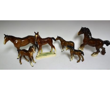 A Beswick model of a shire horse, brown gloss, 21cm; a shire foal; others, a gloss brown horse, 20cm; a smaller pony; a foal;