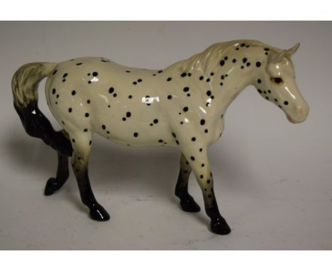 A Beswick model of an Appaloosa walking pony, black spots on a white gloss ground, 13.5cm