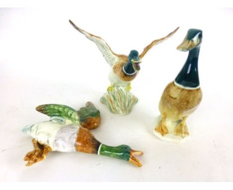 A Beswick ceramic figure of a mallard duck model number 756-1, another figure of a mallard duck mid flight model number 749, 