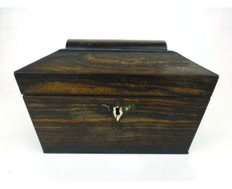 A Regency coromandel sarcophagus form tea caddy. h. 17 cm, w. 26 cm, d. 15 cm CONDITION REPORT: Piece of moulding missing fro