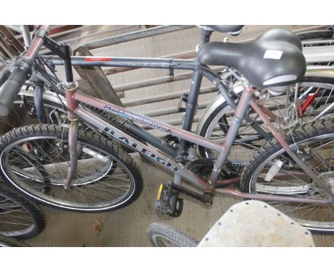 A Raleigh Monsoon mountain bike
