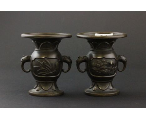 A pair of ealrly 20th century Japanese bronze vases 