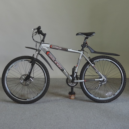 raleigh lithium mountain bike